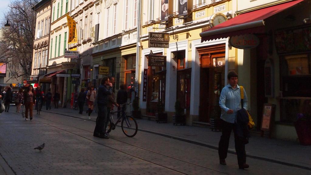 Golden Lion Guest Szewska 19 Hotel apartamentowy Kraków